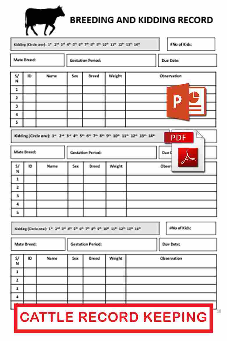 Beef Cattle Record Keeping Forms Template